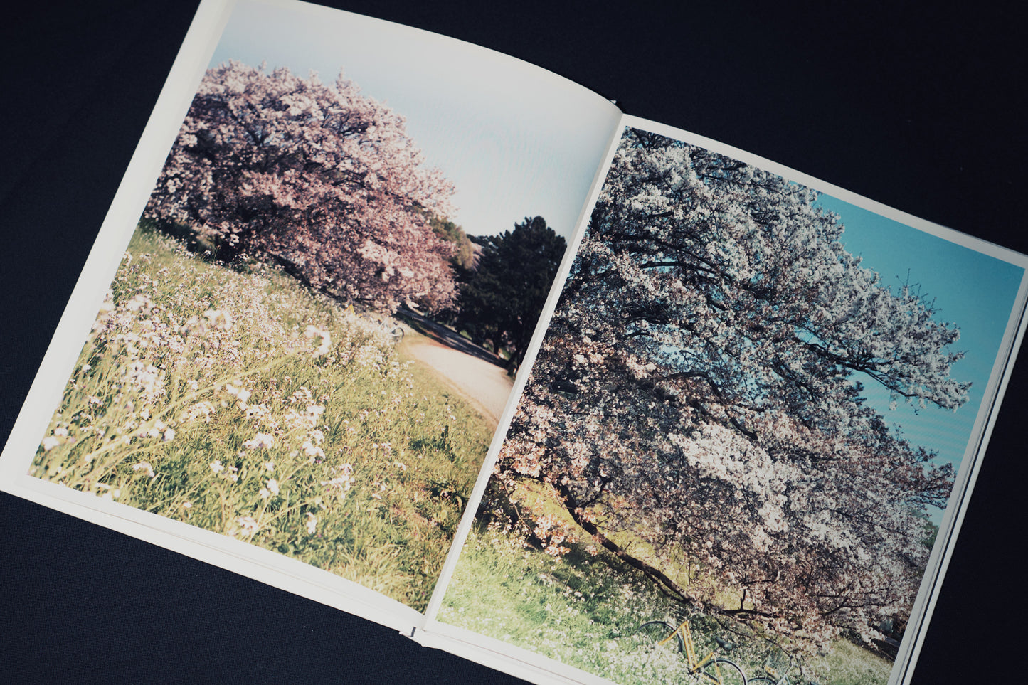 syn crho (Photobook + CD)