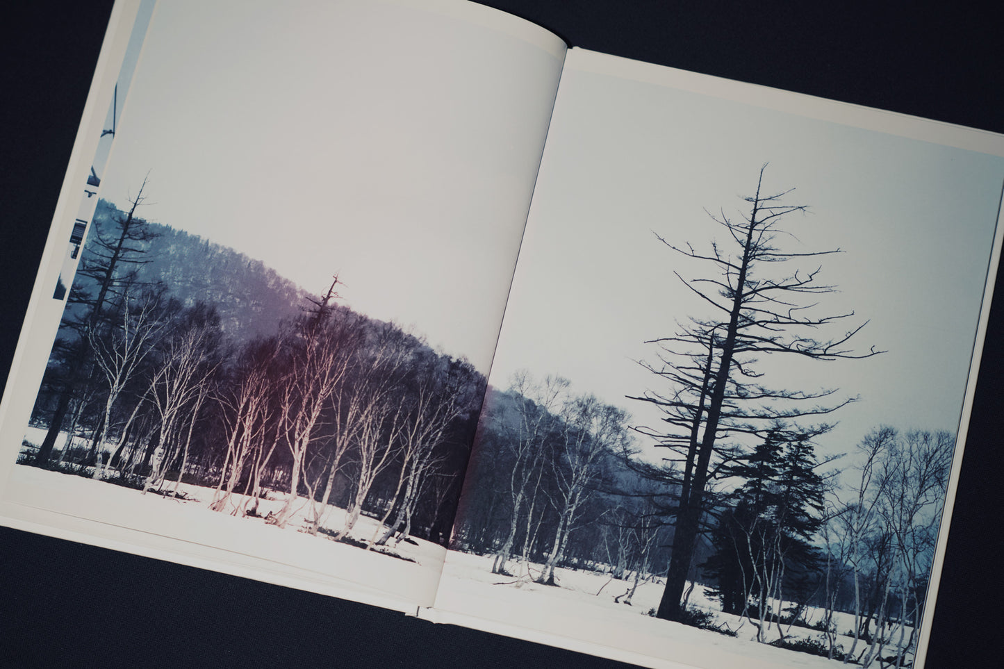 syn crho (Photobook + CD)