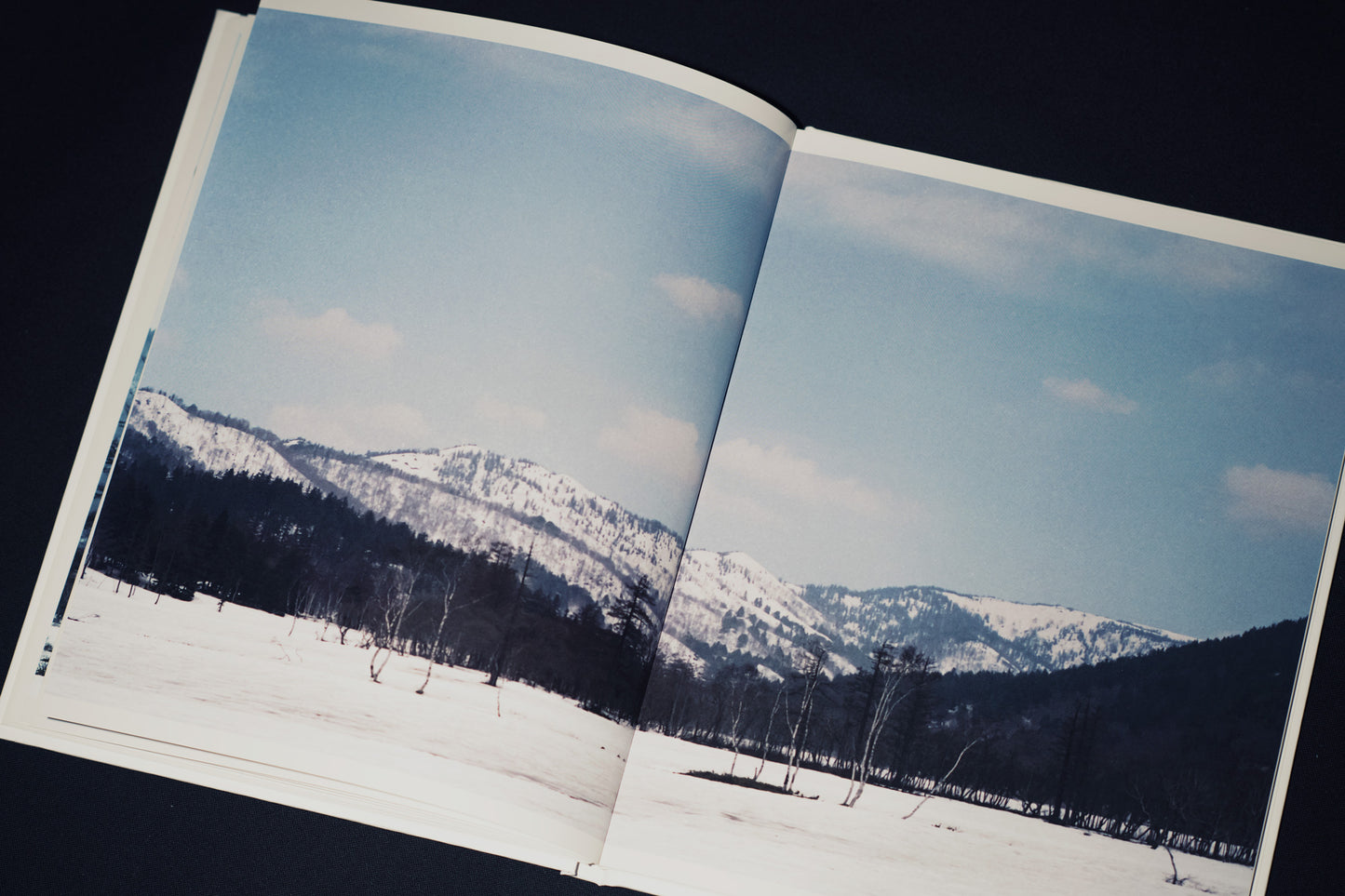 syn crho (Photobook + CD)