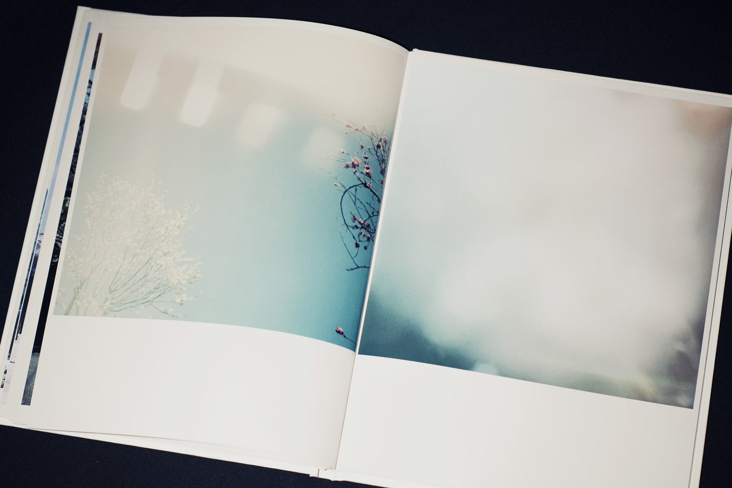 syn crho (Photobook + CD)