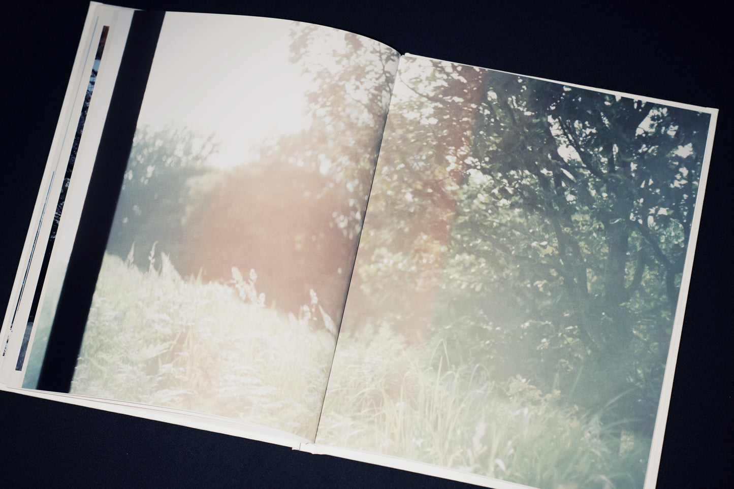 syn crho (Photobook + CD)