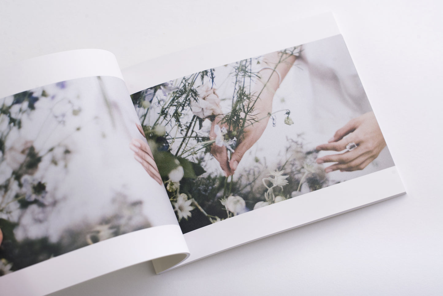 For (CD/DVD/Photobook)