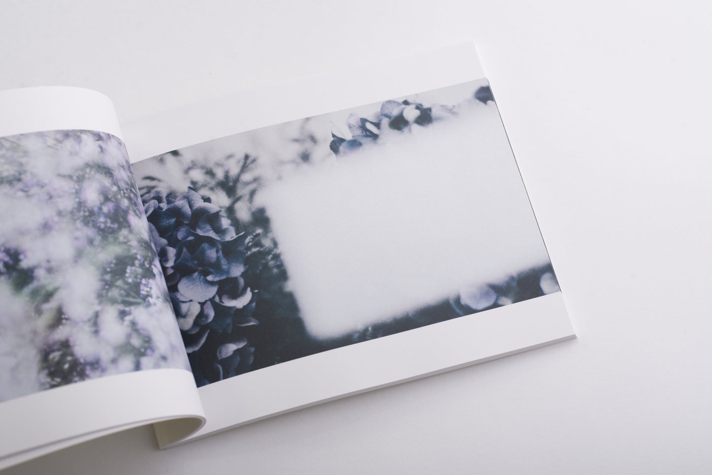 For (CD/DVD/Photobook)