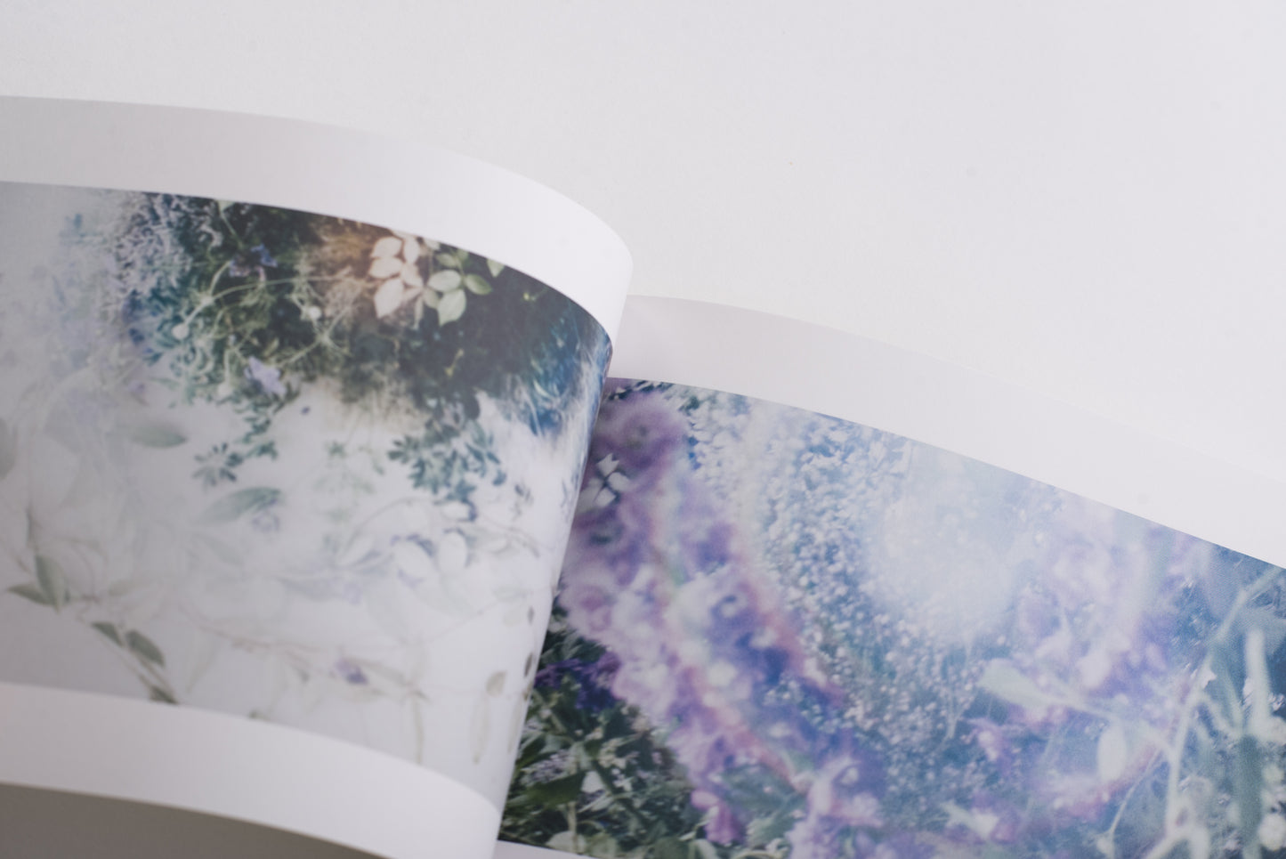 For (CD/DVD/Photobook)