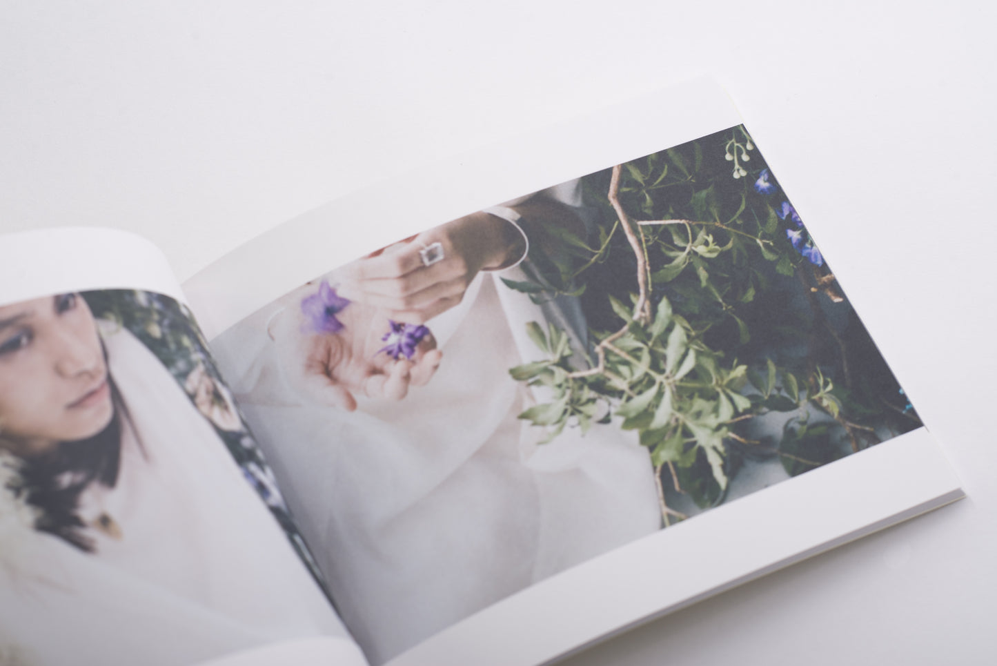 For (CD/DVD/Photobook)