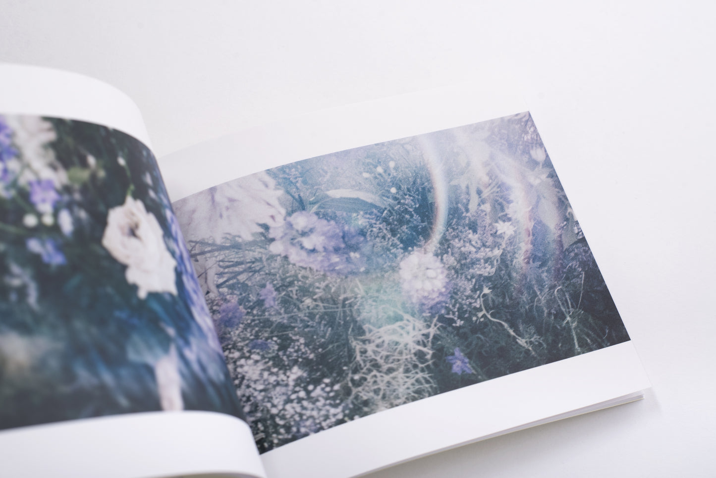 For (CD/DVD/Photobook)