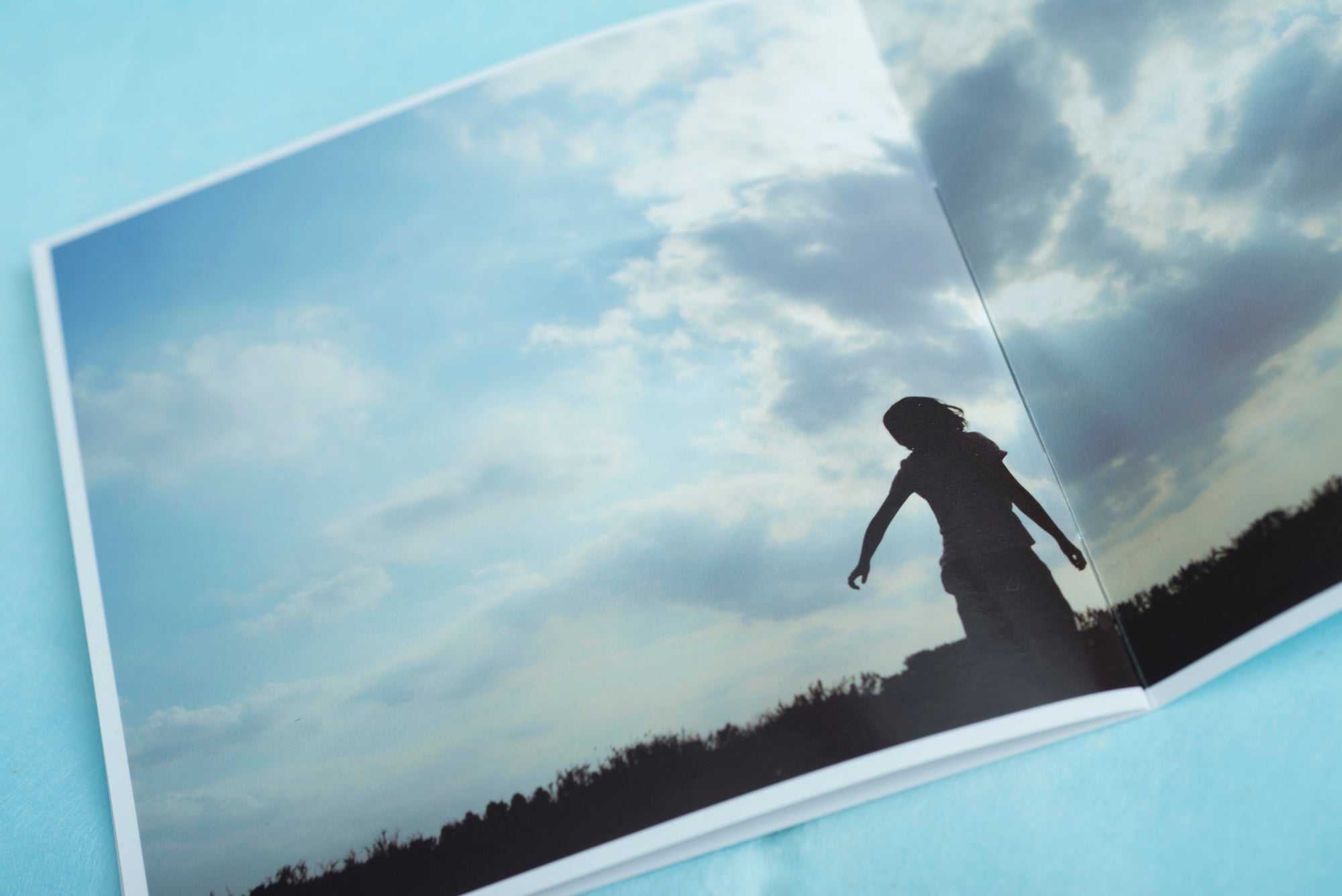 小瀬村晶 - grassland+ – SCHOLE
